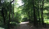 Randonnée A pied Ottignies-Louvain-la-Neuve - #200525 - Les trois bois, de l'Escavée, de Lauzelle, et des Rêves*** - Photo 3