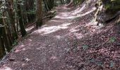 Trail Walking Charquemont - LES ECHELLES DE LA MORT - Photo 4