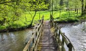 Trail Walking Gedinne - Vencimont 010524 - Photo 20