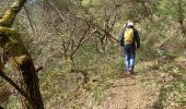 Trail Walking Crestet - 2024-04-10  - Photo 20