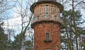 Tour Zu Fuß Waren (Müritz) - gelber Schmetterling - Photo 1