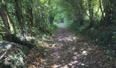 Trail Walking La Sure en Chartreuse - Rando au départ de Saint Julien - Photo 5