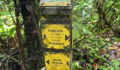 Tocht  Le Morne-Rouge - Sainte Cécile/crête du Cournan/Beauvallon  - Photo 16