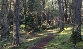 Trail Walking Saanich - High Ridge Trail - Photo 3
