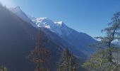 Tour Wandern Chamonix-Mont-Blanc - CHAMONIX ... Chapeau Le Lavancher. - Photo 5