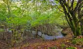 Randonnée Marche Onhaye - De Miavoye à Maurenne par le vallon de Féron - Photo 7