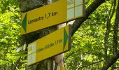Percorso  Lamastre - Lamastre Montreynaud - Photo 1