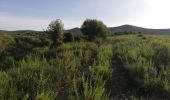 Tocht Stappen Belgodère - les hauteurs de lozari (départ plage de Lozari) - Photo 1