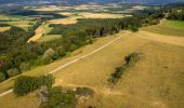 Tocht Te voet Mainleus - Buchauer Weg (Buchau/Thurnau) - Photo 5