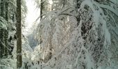 Tocht Sneeuwschoenen Pontarlier - Pontarlier Gounfay Grand Taureau 2021-01-19 CAF - Photo 5