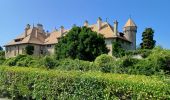 Trail Walking Évian-les-Bains - thonon château de ripaille - Photo 3