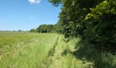 Trail Walking Azay-sur-Cher - Azay-sur-Cher - Brandon Truyes le Grais - 23.7km 185m 5h25 (50mn) - 2025 05 18 - Photo 11