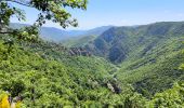 Trail Walking Prévenchères - Garde Guérin /Gorges du chassezac - Photo 4
