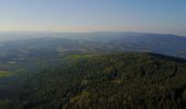 Percorso A piedi Pöllauberg - Grafendorf Masenberg Weg 18 - Photo 6