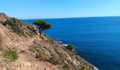 Trail Walking Port-Vendres - paullile - Cap bear via la mer retour via les vignes  - Photo 15
