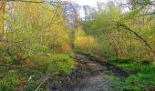 Tour Wandern Vieux-Moulin - en forêt de Compiègne_26_la Grotte des Ramoneurs_Tournantes de la Queue de Saint-Etienne et sur la Côte de Roilaye - Photo 5