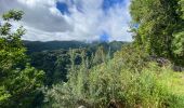 Tocht Stappen São Jorge - Levada del Rei - Photo 11