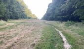 Percorso Marcia Villers-Cotterêts - en Forêt de Retz_95_07_2025_autour de l'Allée Royale - Photo 3