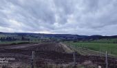 Tocht Stappen Sainte-Ode - Petit Tour vers Orti et retour par le chemin du tram - Photo 1