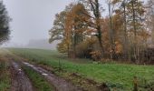 Tour Wandern Philippeville - Jamagne 291122 - Photo 4