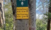 Tour Wandern Beauregard-Baret - Pré de cinq sous - Photo 1