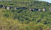 Randonnée Marche Buoux - Buoux /Saignon - Photo 5