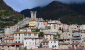 Tour Wandern Lucéram - Luceram - Col de l'Orme et retour - Photo 8