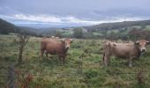 Tocht Noords wandelen Saint-Pierre-de-Nogaret - SityTrail - Le Brouillet - Cascade du Saltou - Photo 18