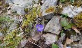 Tour Wandern Les Plans - Les Plans - Plateau du Grézac - Photo 3