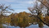 Tocht Te voet Kelmis - Bloemenvallei - Photo 4