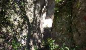 Trail Walking La Roquebrussanne - Massif de la Loube - Photo 7