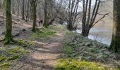 Tocht Stappen Florenville - Marche ADEPS Chassepierre - Photo 11