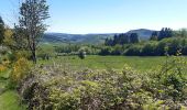 Randonnée Marche Stoumont - moulin du ruy . ruy . andrimont . cour . borgoumont . moulin du ruy - Photo 5