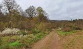 Tocht Stappen Viroinval - Balade dans le Viroinval - Olloy - Photo 6