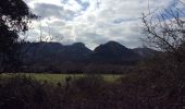 Excursión Senderismo Orgon - PF-Orgon - La Plaine des Alpilles - Photo 1