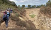 Tocht Stappen Charleval - PF-Charleval - Les Costes - Bois des Taillades - Cuou de Peyrou - Photo 12