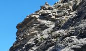 Trail Walking Bonneval-sur-Arc - signal de l'Iseran - Photo 16