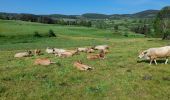 Trail Walking Saugues - live Saugues - Lajo - Photo 5