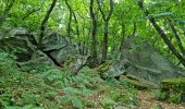 Tour Wandern Chamarande - Lardy - Le Lièvre d'Or - Photo 7