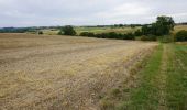 Tocht Te voet Tewkesbury - Windrush Way - Photo 3