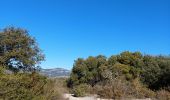 Trail Walking Aniane - grotte des reliques, montcalmes - Photo 11