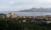 Tocht Stappen Calvi - Autour de Calvi - Photo 1