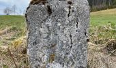 Trail On foot Val-de-Travers - Ferme du Soliat - La Banderette - Photo 2