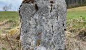 Percorso A piedi Val-de-Travers - Ferme du Soliat - La Banderette - Photo 2