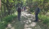 Trail Walking Sare - sare - Photo 7