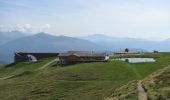 Trail On foot Monteceneri - CH-Alpe Foppa - Piano di Mora - Photo 4
