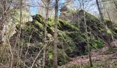 Tour Wandern Hohenfels - Cetturu 060224 - Photo 14