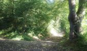 Tour Wandern Andenne - 20190702 Kevret - Photo 19