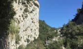 Trail Walking Sales de Llierca - Sadernes Sant Aniol  - Photo 18