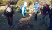 Tocht Stappen Tarascon - alpilles chapelle saint gabriel - Photo 18